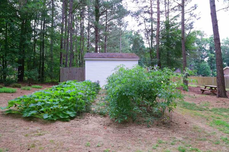 2904 Lauren Oaks Dr, Raleigh, NC 27616