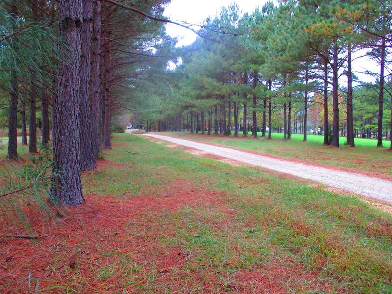 2905 Stubble Field Dr, Raleigh, NC 27613