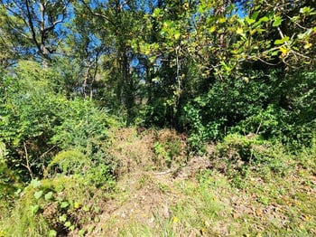 2908 Rosemeade Dr, Fayetteville, NC 28306