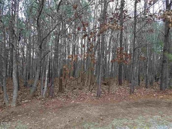 2908 Satori Way, Apex, NC 27539