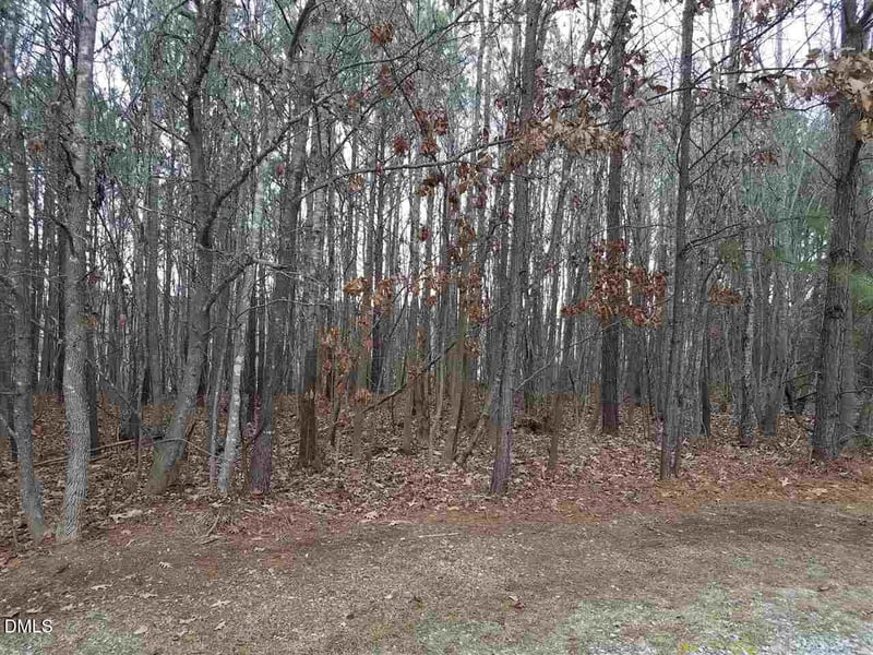 2908 Satori Way Lot F, Apex, NC 27539