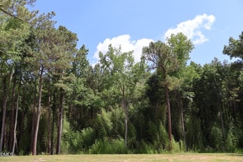 2913 Nc 27 E Lot TBD, Coats, NC 27521