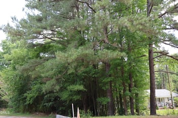 2913 Nc 27 E Lot TBD, Coats, NC 27521