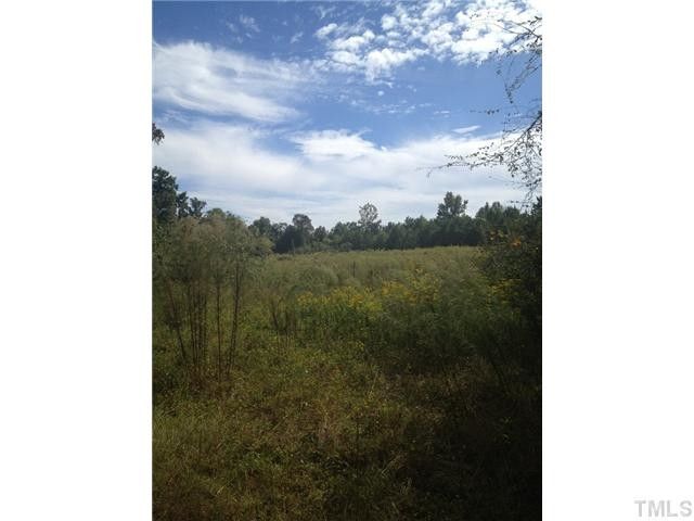 2920 Old Milburnie Rd Lot 2, Raleigh, NC 27604