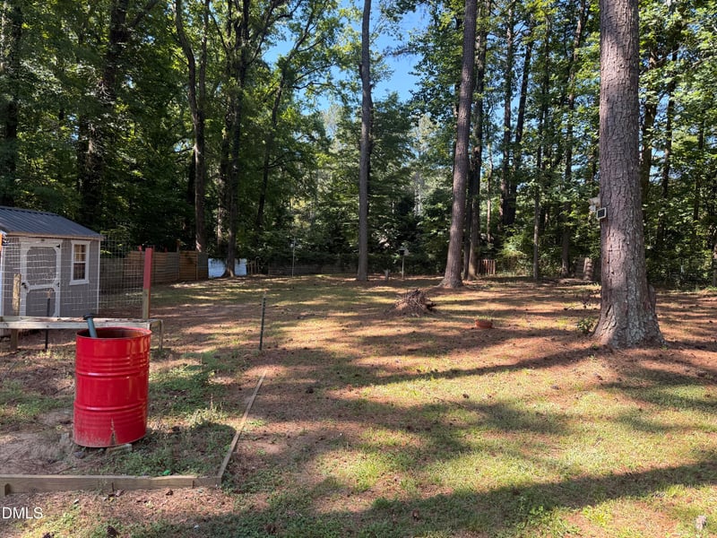 2921 Eric St, Willow Springs, NC 27592