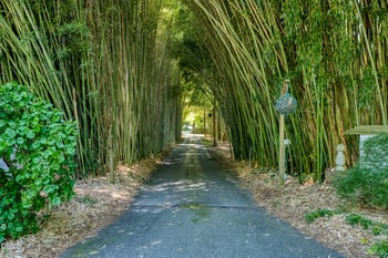 2927 Longpine Rd, Burlington, NC 27215