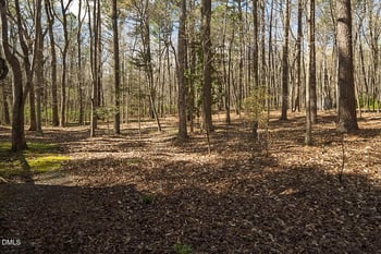 2939 Lamont Norwood Rd, Pittsboro, NC 27312