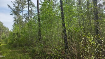 294 Hight Rd, Louisburg, NC 27549