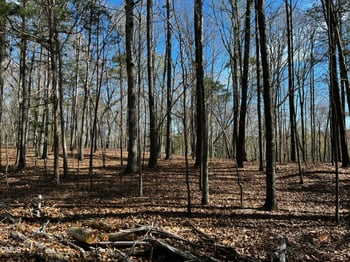 294 The Glades Lot 10H-R, Chapel Hill, NC 27517