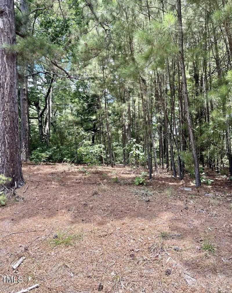 295 Fox Park Rd, Louisburg, NC 27549