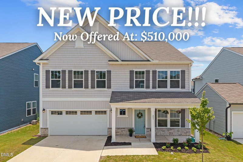 295 Horseshoe Pl, Angier, NC 27501