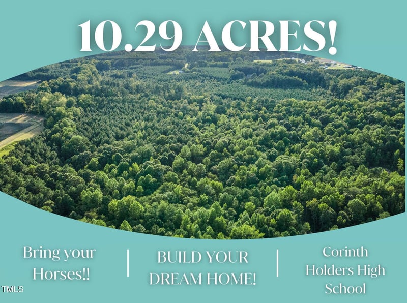 295 Old Eason Rd, Zebulon, NC 27597