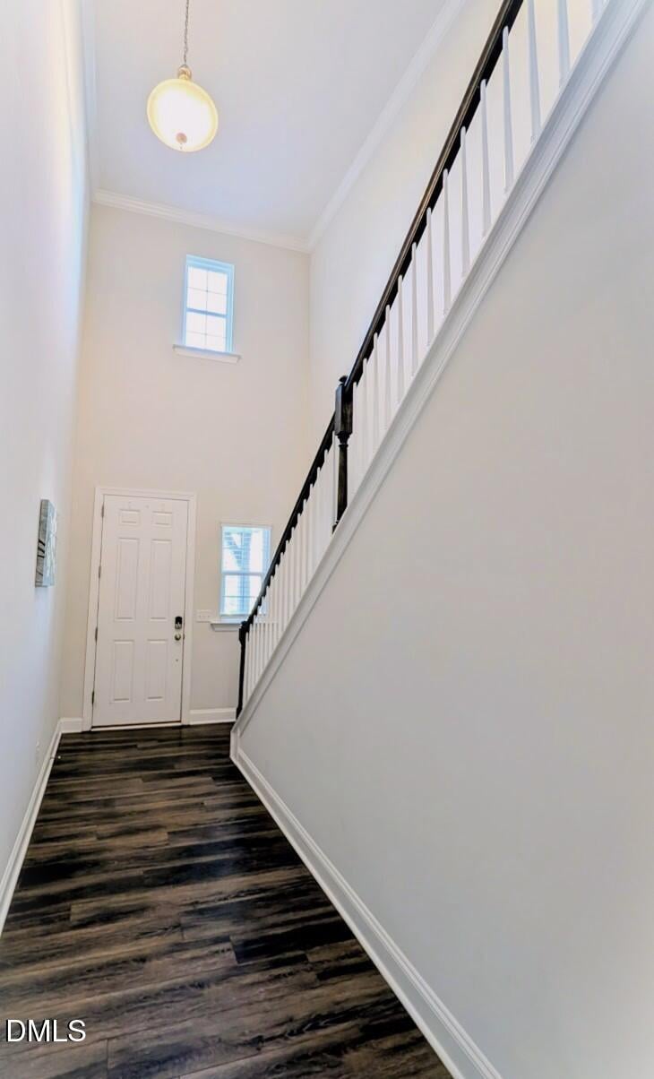 2969 Thirlestane Dr, Apex, NC 27502