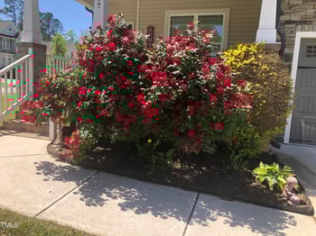 297 Hawkesburg Dr, Clayton, NC 27527