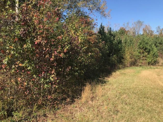 2978 Alston Chapel Rd, Pittsboro, NC 27312