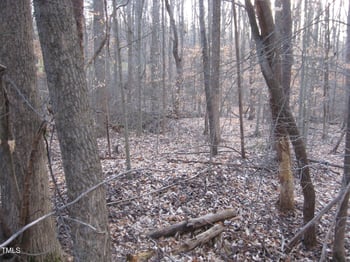 2979 Creek Point Pl, Graham, NC 27253