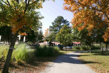 299 Brogden School Rd, Smithfield, NC 27576