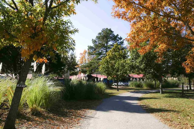 299 Brogden School Rd, Smithfield, NC 27576