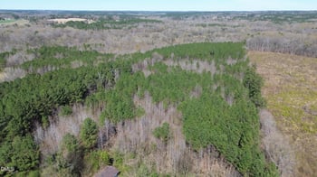 299 Hodges Rd, Franklinton, NC 27525