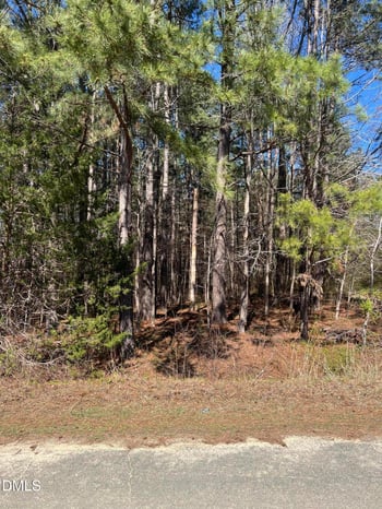 299 Hodges Rd, Franklinton, NC 27525