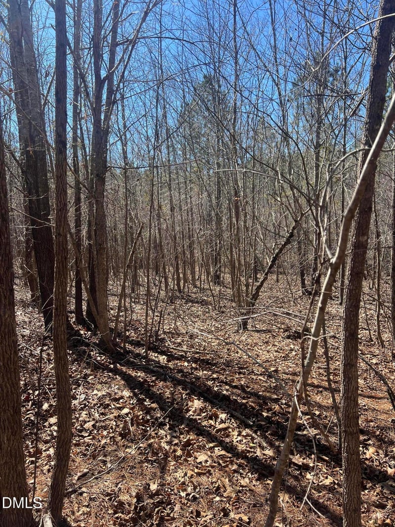 299 Hodges Rd, Franklinton, NC 27525