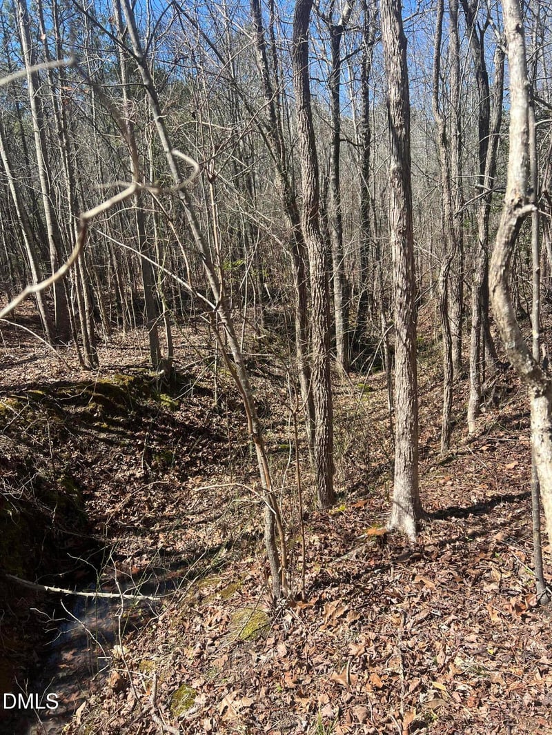 299 Hodges Rd, Franklinton, NC 27525