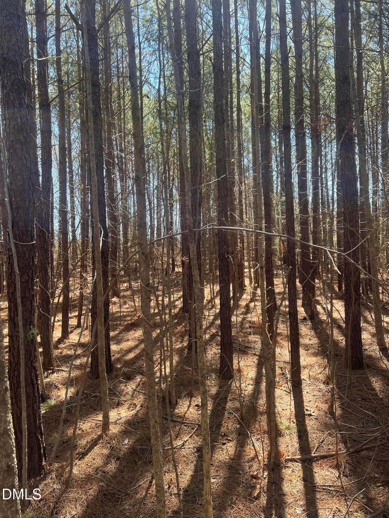 299 Hodges Rd, Franklinton, NC 27525