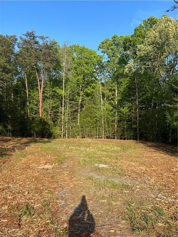 2999 Iron Gate Dr, Mebane, NC 27302