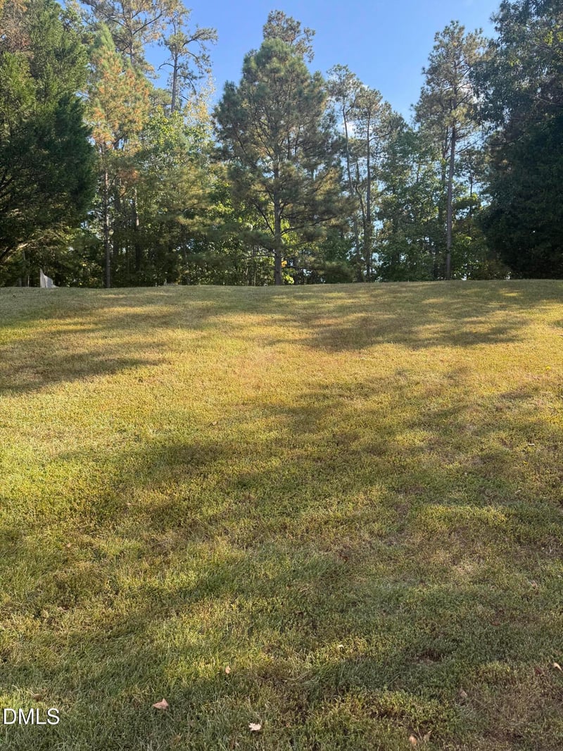 3 Falcon Nest Ct, Durham, NC 27713