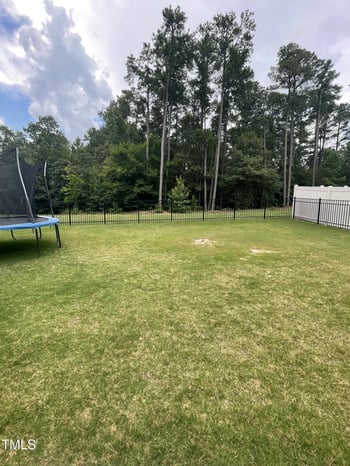 3 Meadowrue Ln, Youngsville, NC 27596