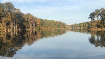 30 Sawtooth Oak Ln, Youngsville, NC 27596