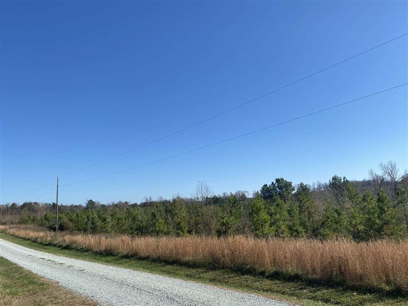 30.77 AC Maurice Daniel Rd, Roxboro, NC 27574