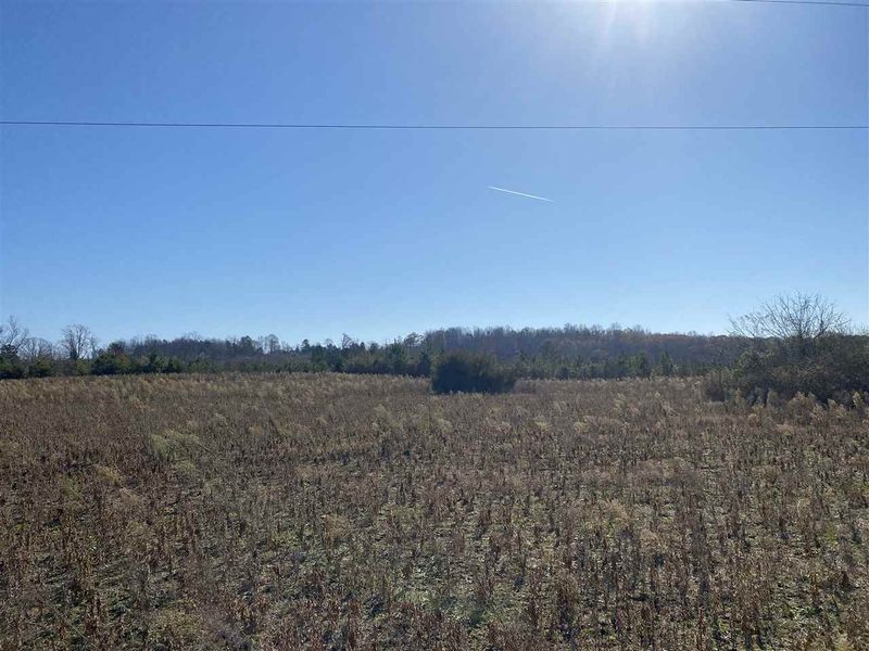30.77 AC Maurice Daniel Rd, Roxboro, NC 27574