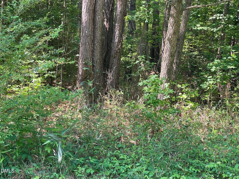 300-1 Landmark Rd, Willow Springs, NC 27592