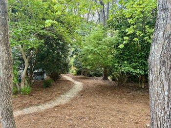 300 Autumn Dr, Chapel Hill, NC 27516