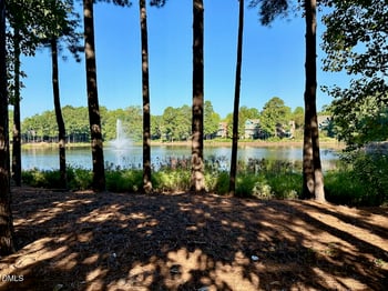 300 Bon Marche Ln, Raleigh, NC 27615