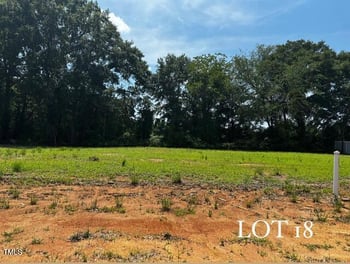 300 New Twin Branch Ct, Smithfield, NC 27577