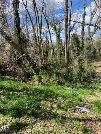 300 Price Ave Lot 31, Durham, NC 27707