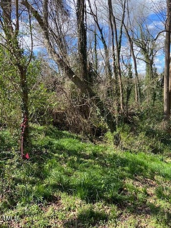 300 Price Ave Lot 31, Durham, NC 27707