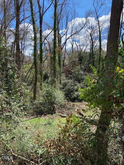 300 Price Ave Lot 31, Durham, NC 27707