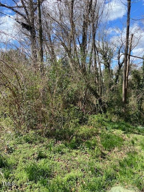 300 Price Ave Lot 31, Durham, NC 27707