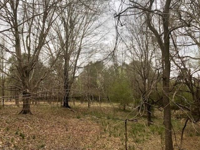 3000 Lattyes Ln Lot 2, Raleigh, NC 27613