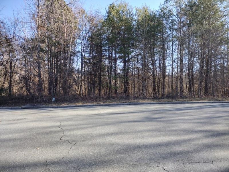 3001 Weston Ct Lot 22, Burlington, NC 27215
