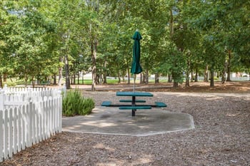 30038 Village Park Dr, Chapel Hill, NC 27517