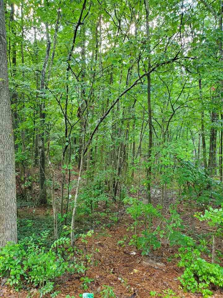 3009 Ruth St Lot 32, Durham, NC 27704