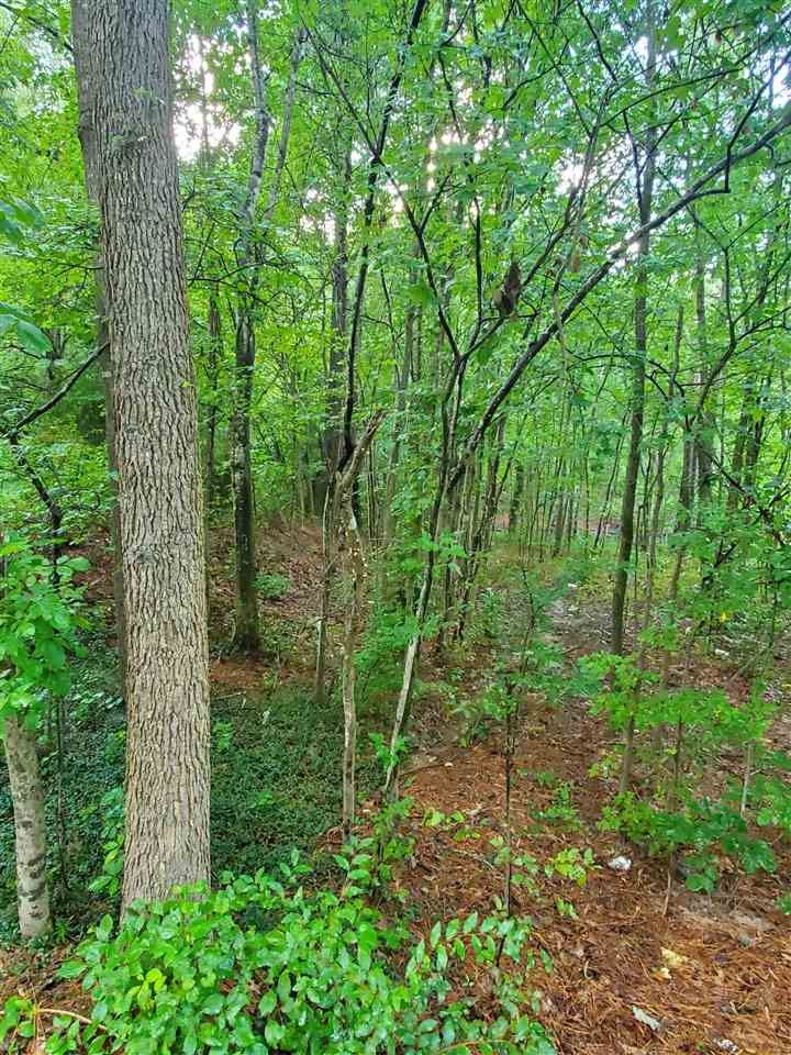 3009 Ruth St Lot 32, Durham, NC 27704