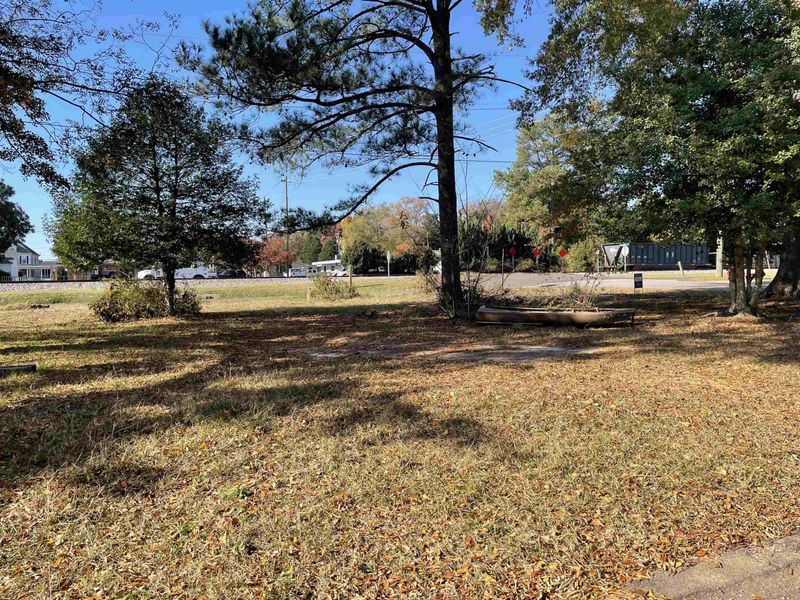 301 S Elm St, Apex, NC 27502