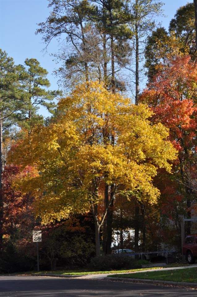 301 Westbury Dr, Chapel Hill, NC 27516