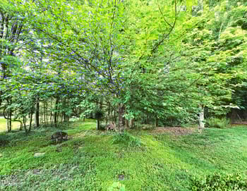 3010 Remington Oaks Cir, Cary, NC 27519