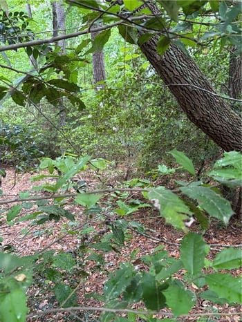 3013 Bourbon St, Sanford, NC 27332